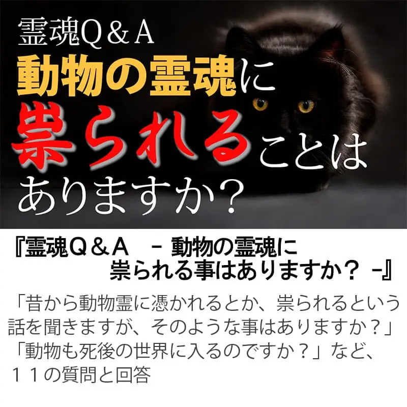 霊魂Ｑ＆Ａ動物の霊魂に祟られる事はありますか？